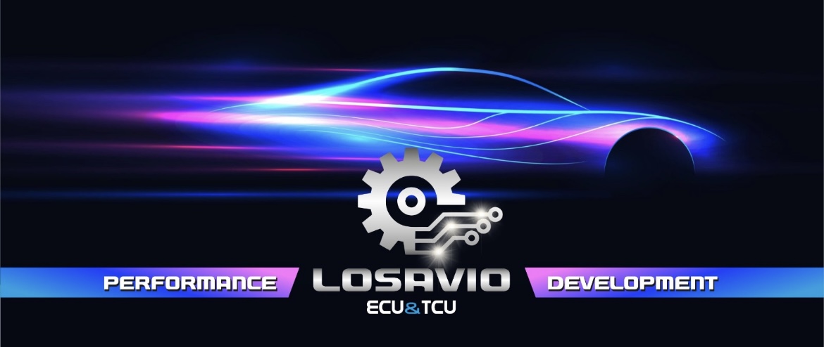 www.losavioperformance.com